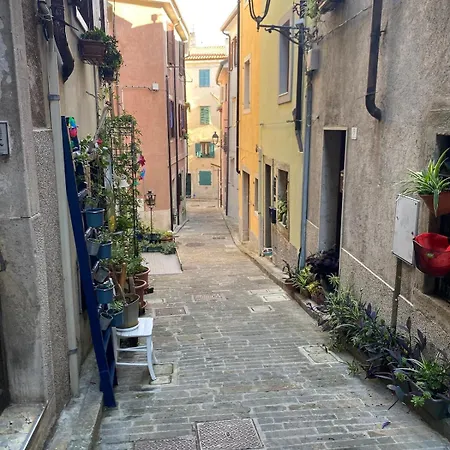 Casa Alice